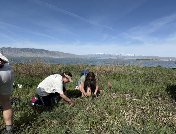 Utah Lake community event